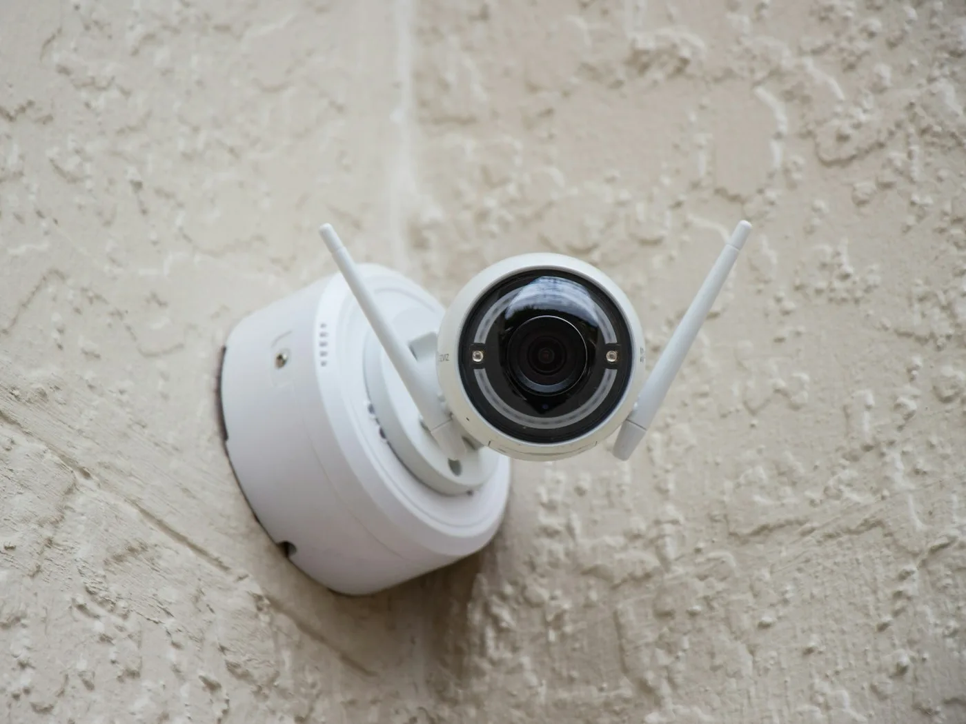 IP cameras